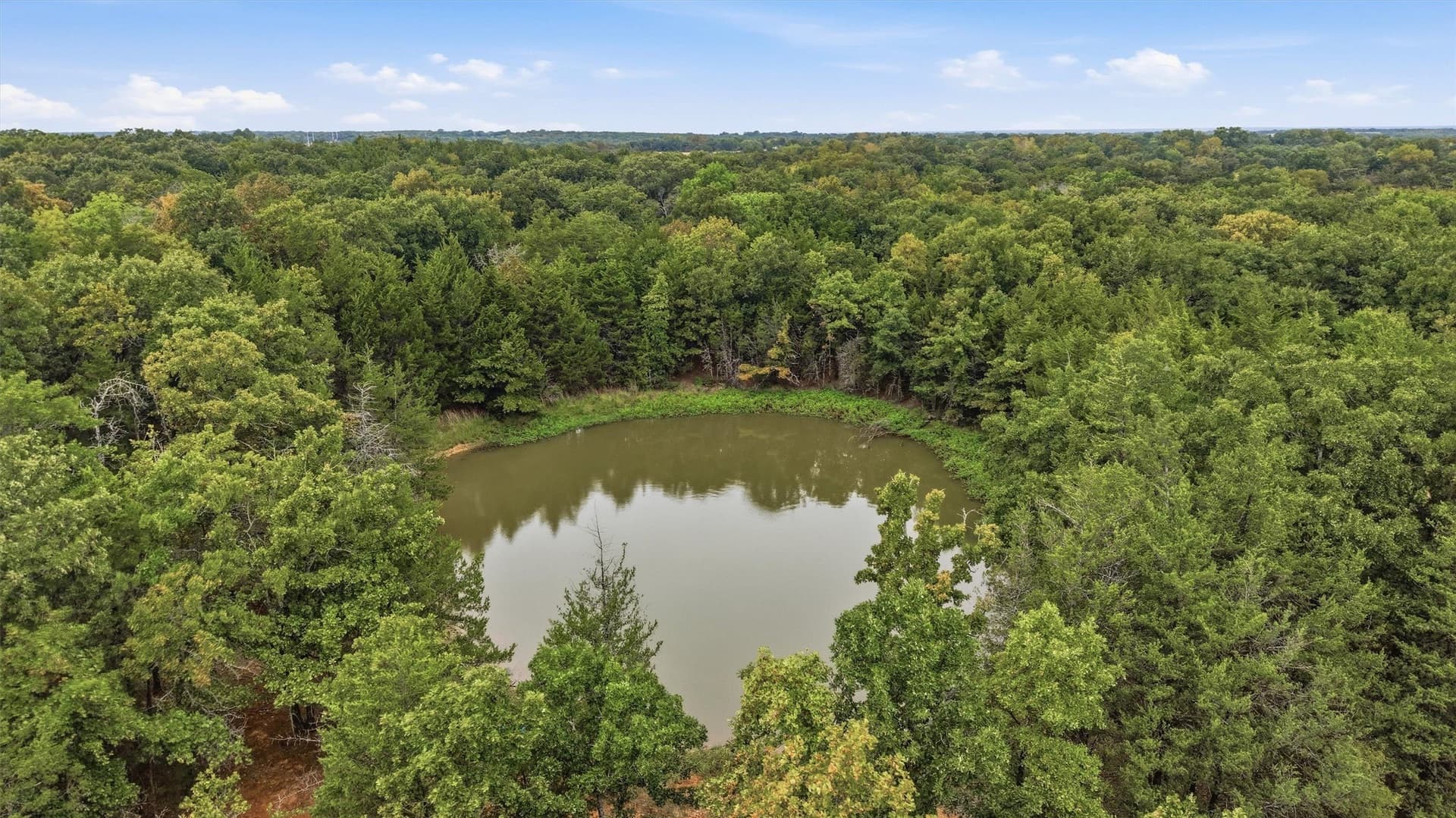 49.47 acres in Fannin County - photo 4