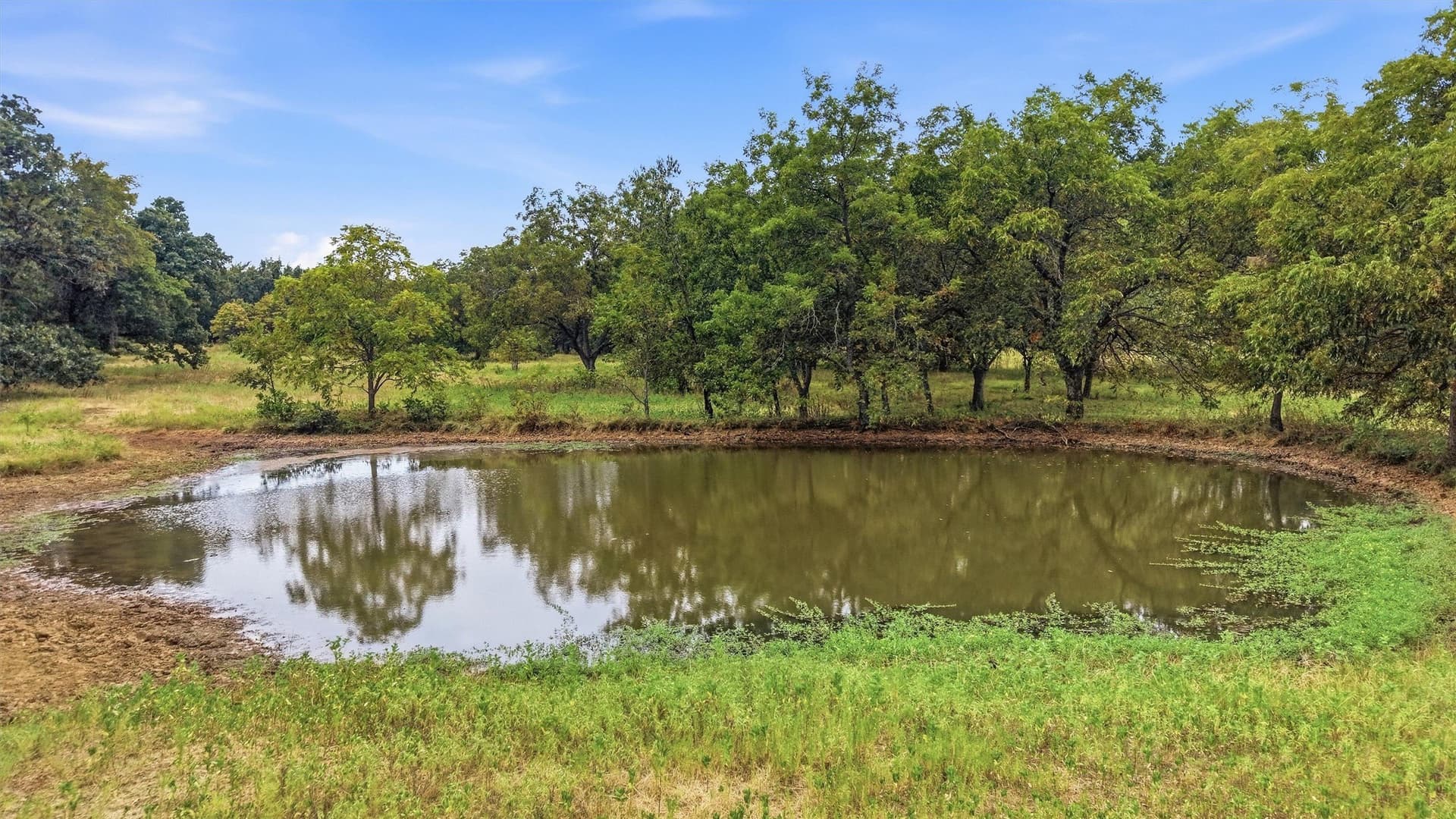 49.47 acres in Fannin County - photo 10