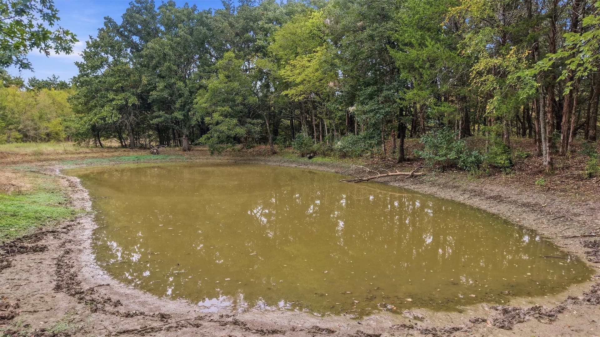 49.47 acres in Fannin County - photo 6