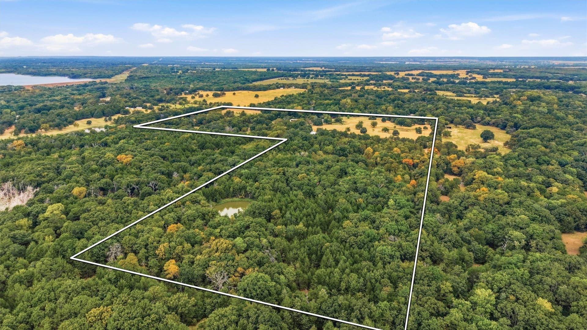 49.47 acres in Fannin County - photo 3