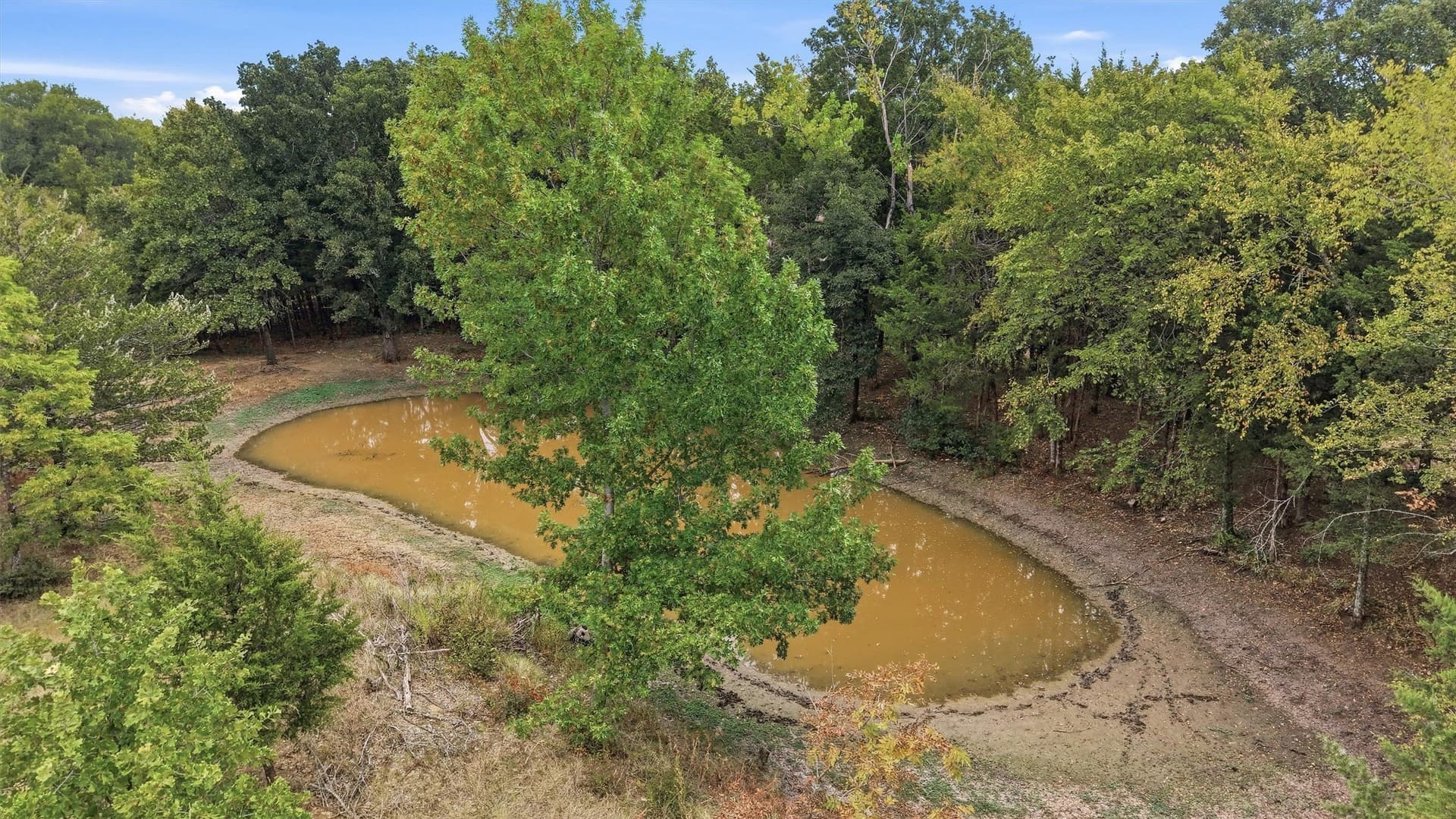 49.47 acres in Fannin County - photo 7
