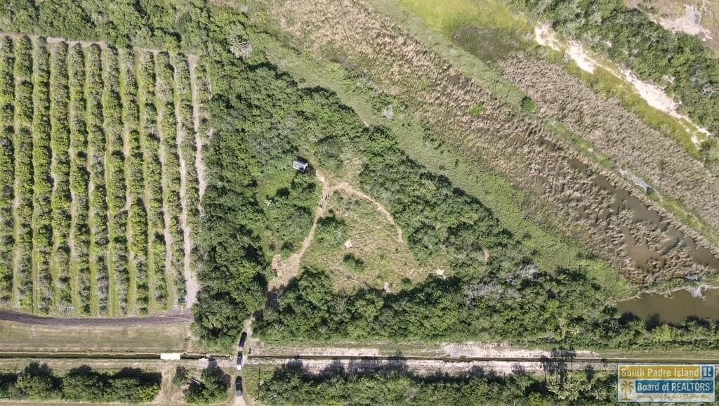 4.1 acres in Cameron County - photo 12