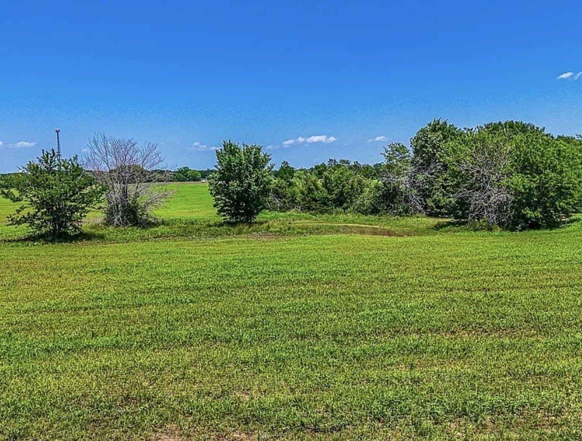 183.64 acres in Navarro County - photo 16