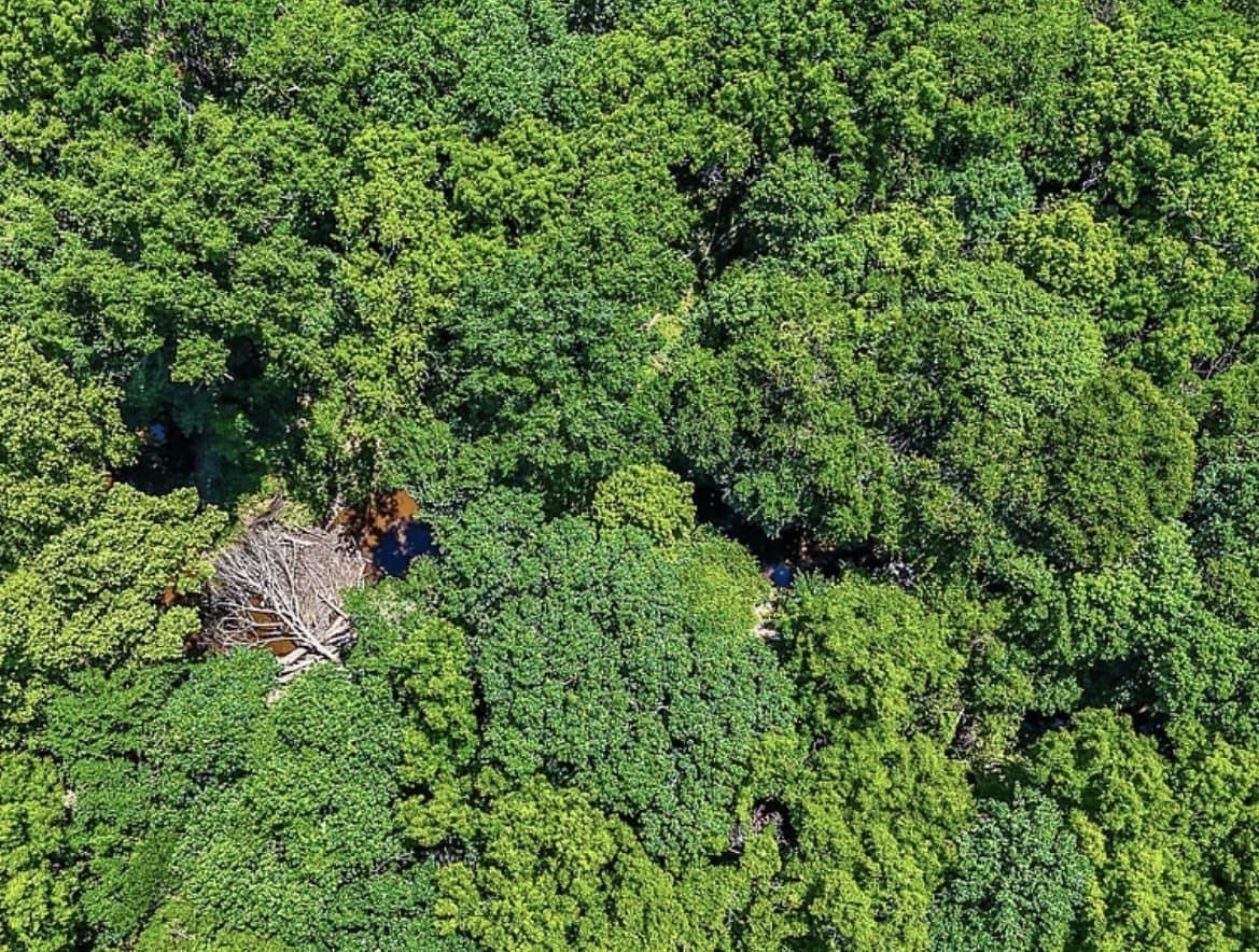 183.64 acres in Navarro County - photo 28