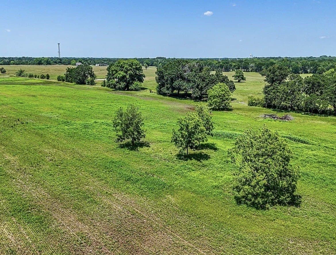 183.64 acres in Navarro County - photo 2