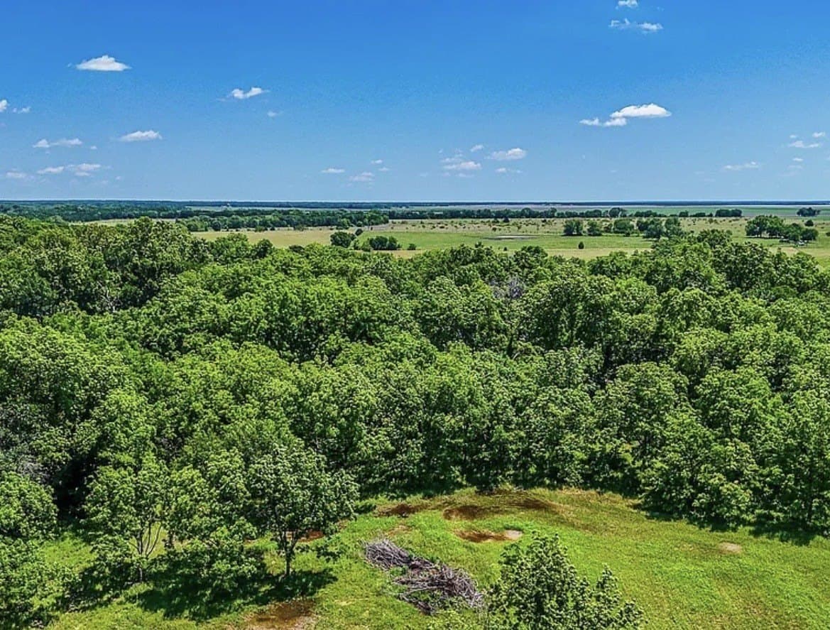183.64 acres in Navarro County - photo 27