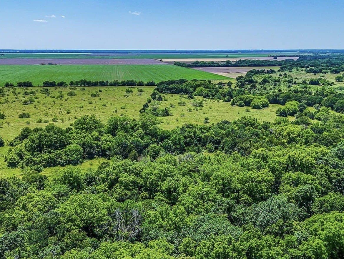 183.64 acres in Navarro County - photo 31