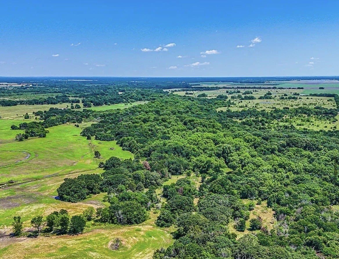 183.64 acres in Navarro County - photo 24