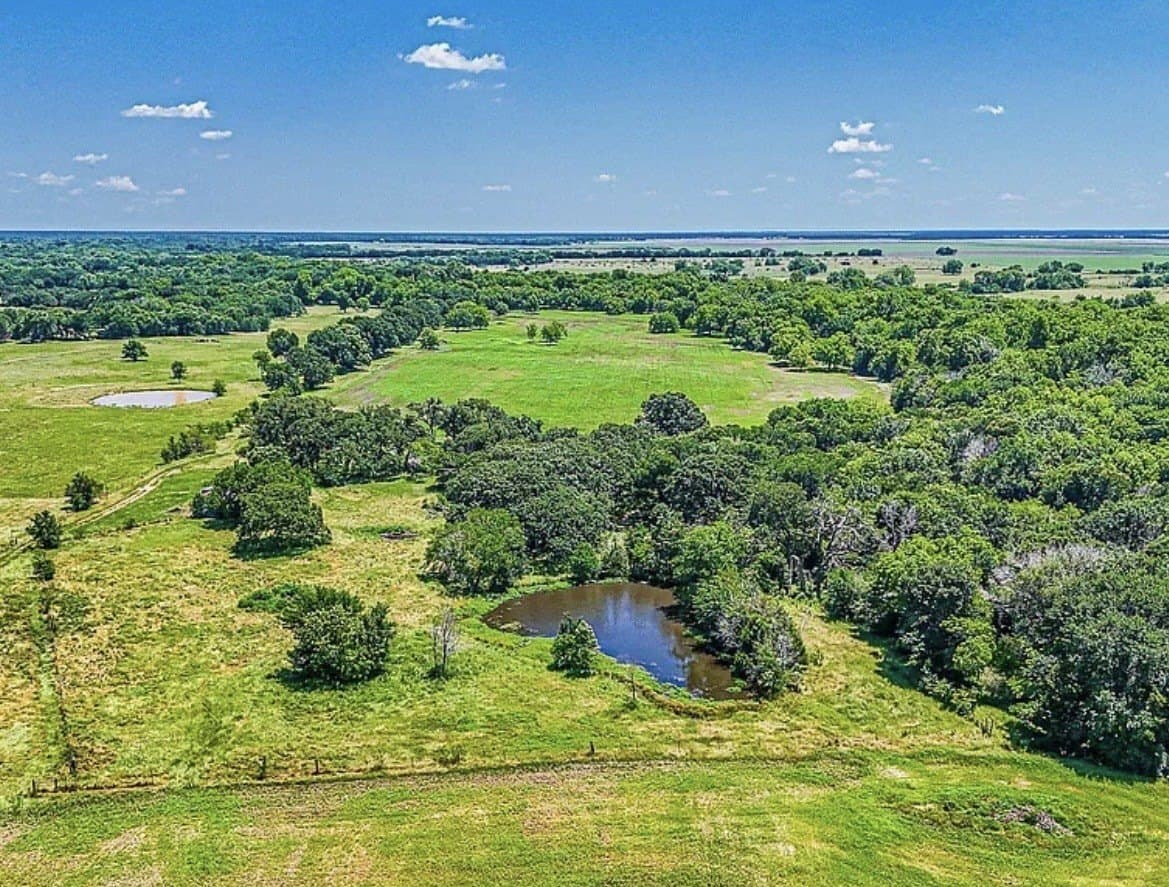183.64 acres in Navarro County - photo 35