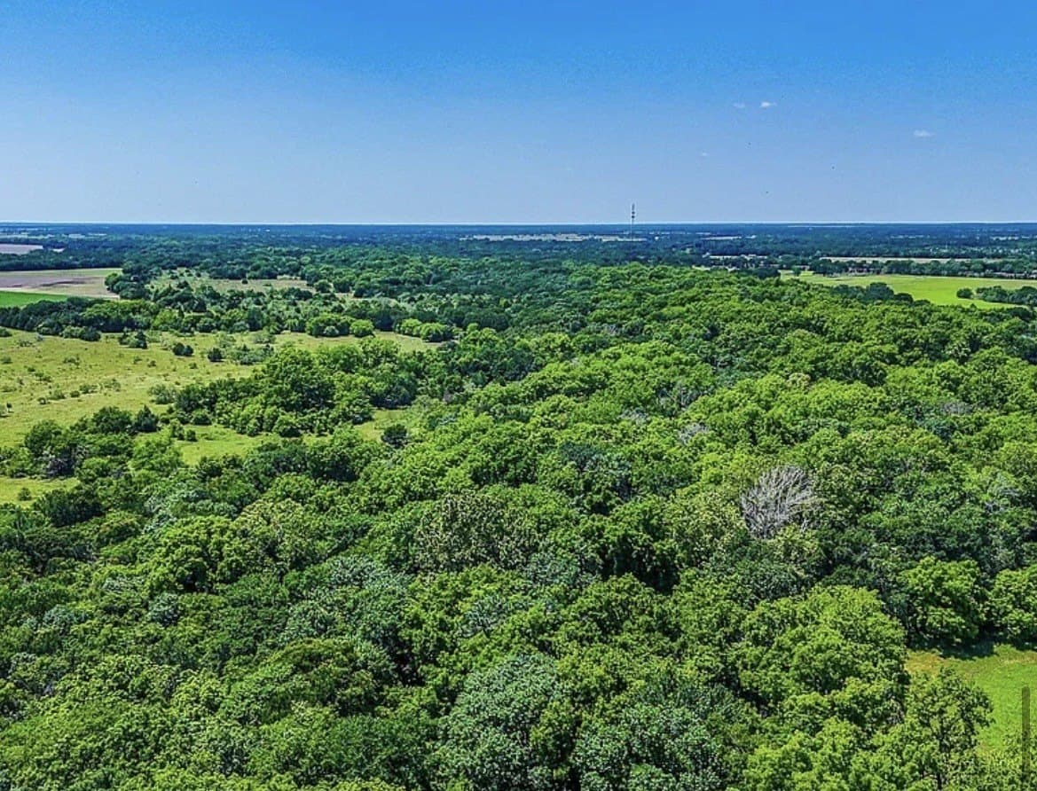 183.64 acres in Navarro County - photo 29