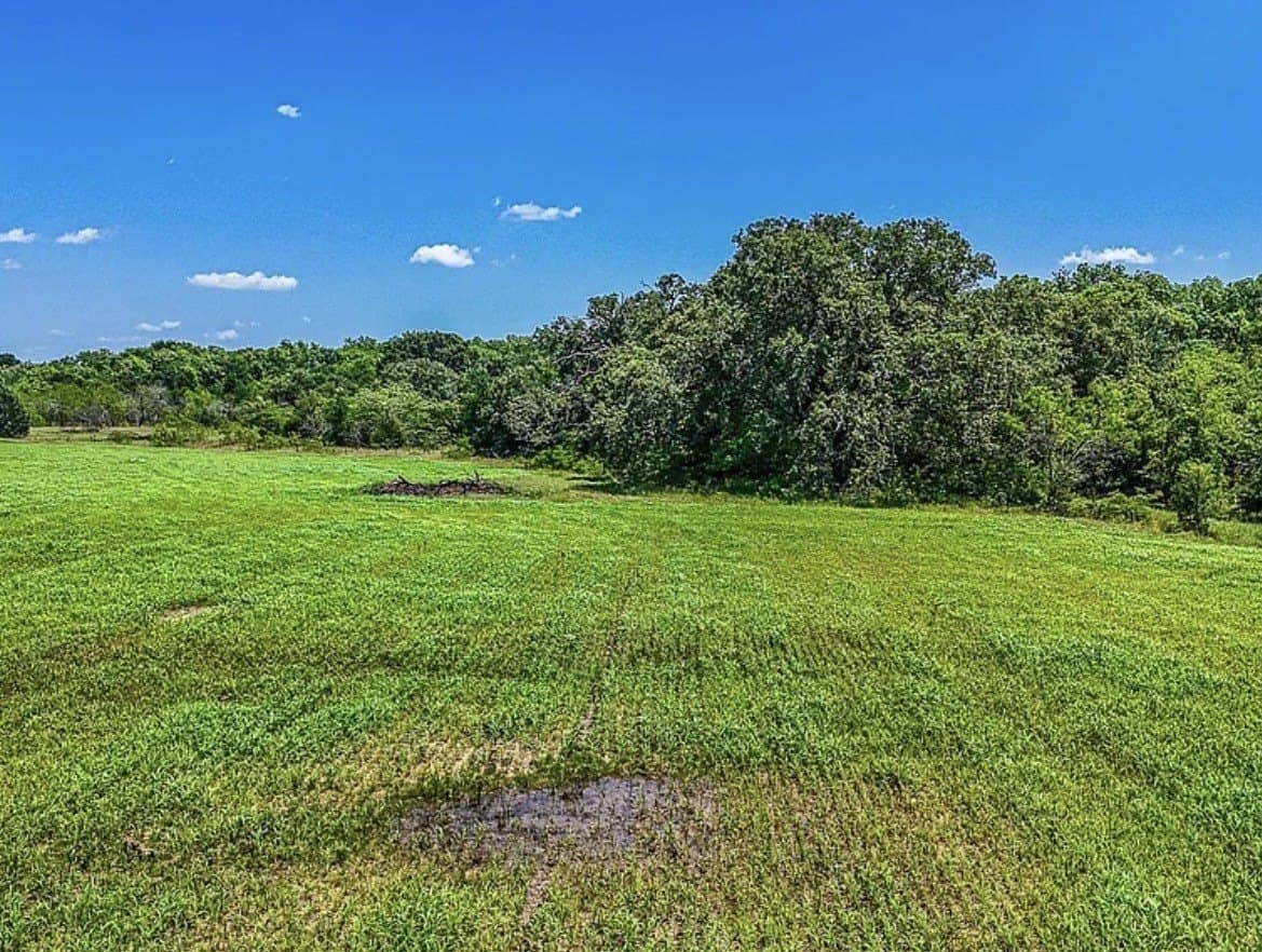 183.64 acres in Navarro County - photo 10