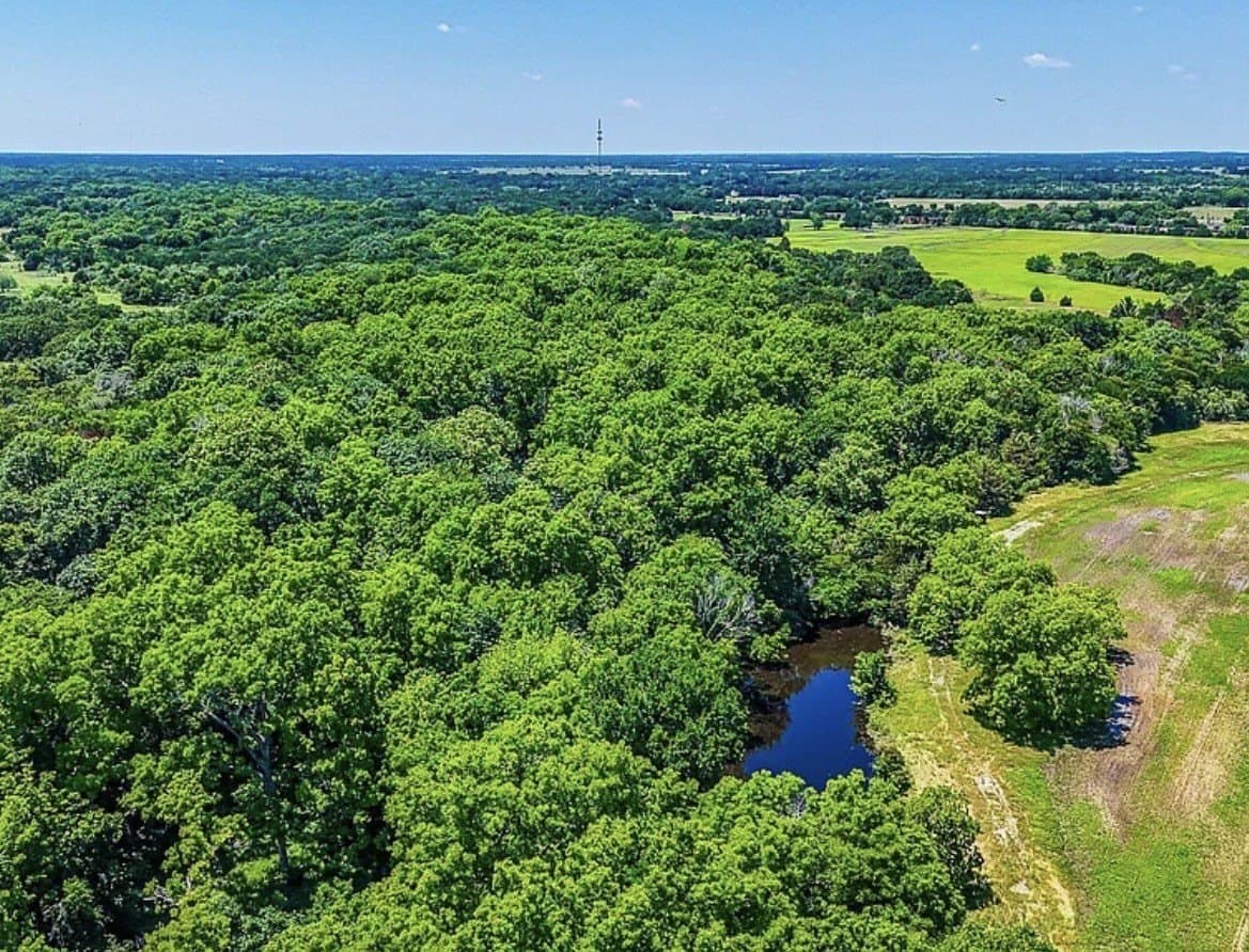 183.64 acres in Navarro County - photo 36