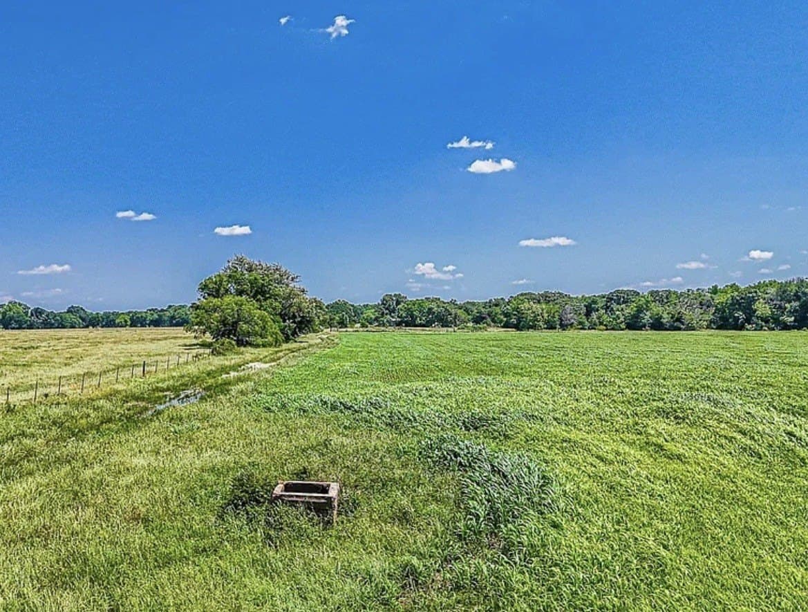 183.64 acres in Navarro County - photo 6