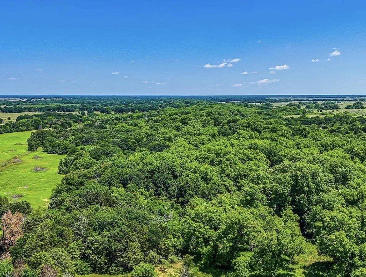 183.64 acres in Navarro County - photo 25