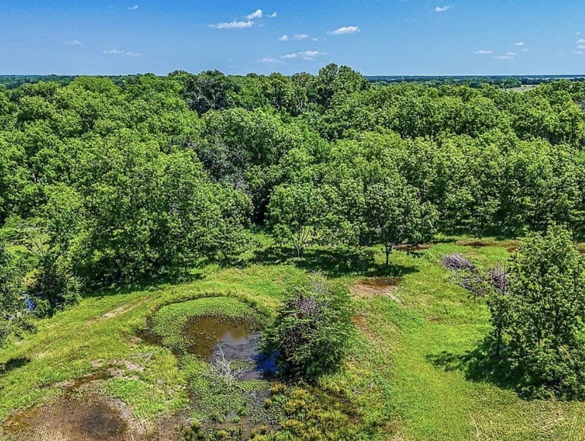 183.64 acres in Navarro County - photo 26