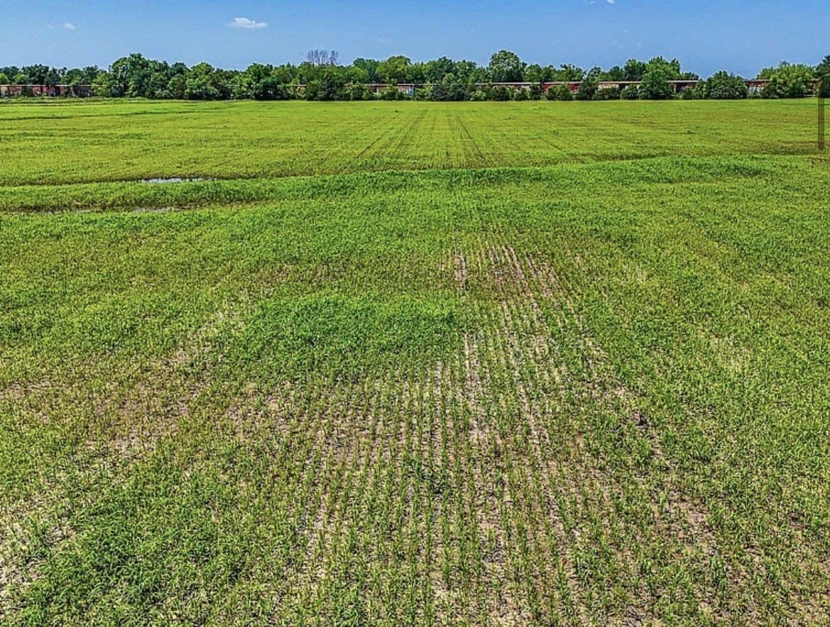 183.64 acres in Navarro County - photo 15