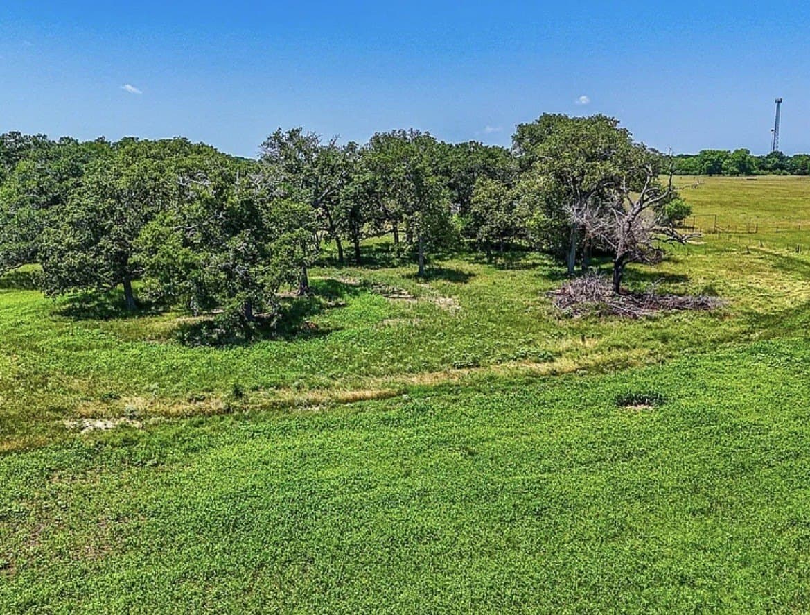 183.64 acres in Navarro County - photo 8