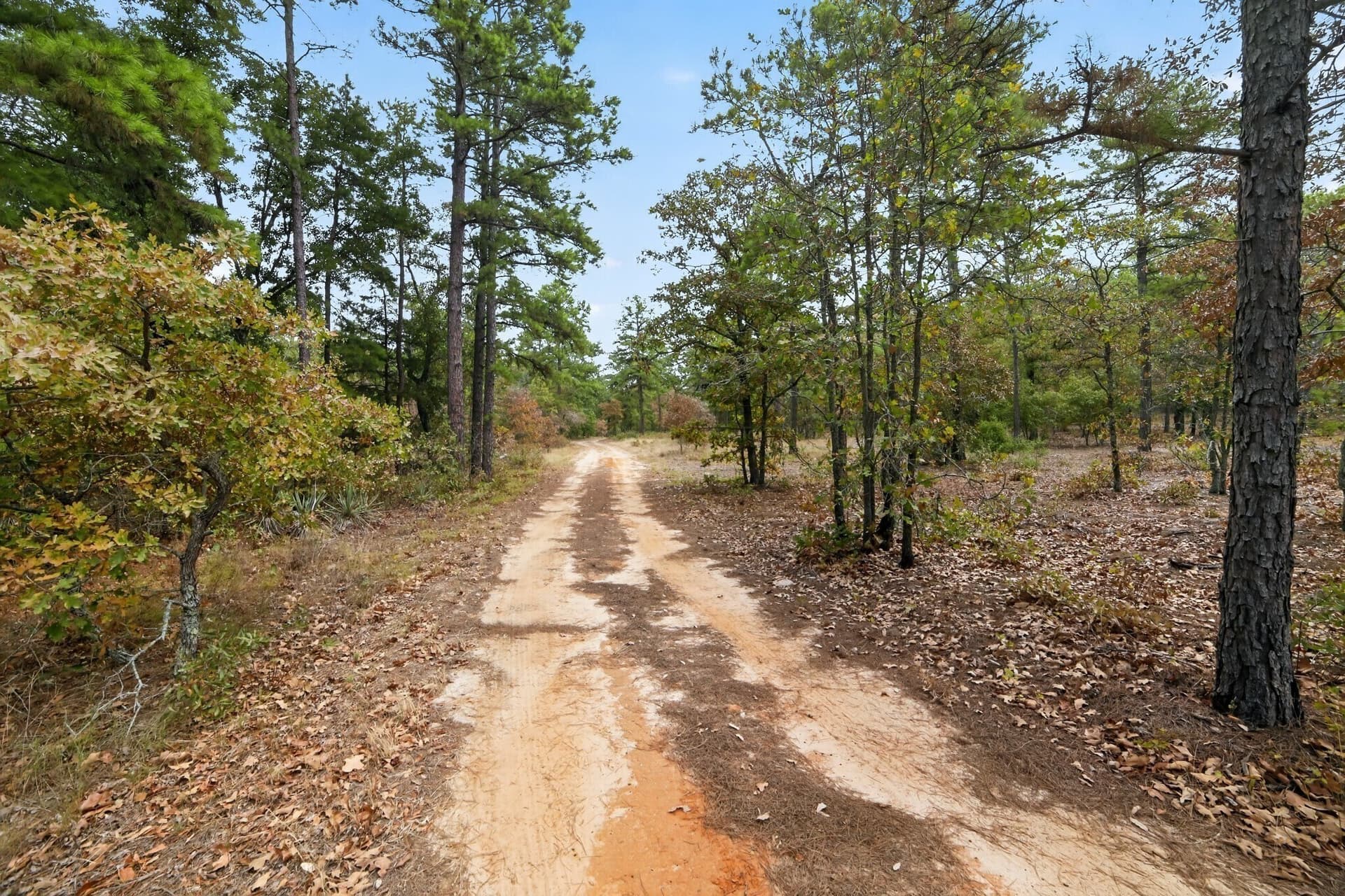 36.84 acres in Wood County - photo 31