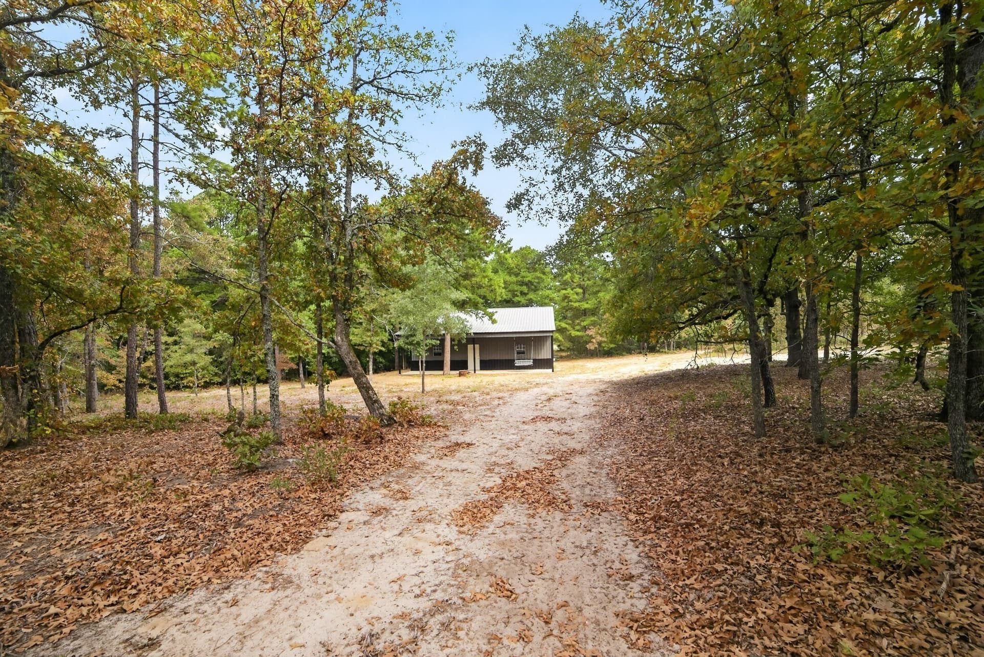 36.84 acres in Wood County - photo 19
