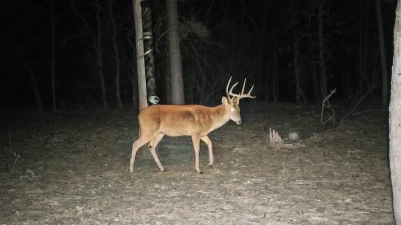 36.84 acres in Wood County - photo 2
