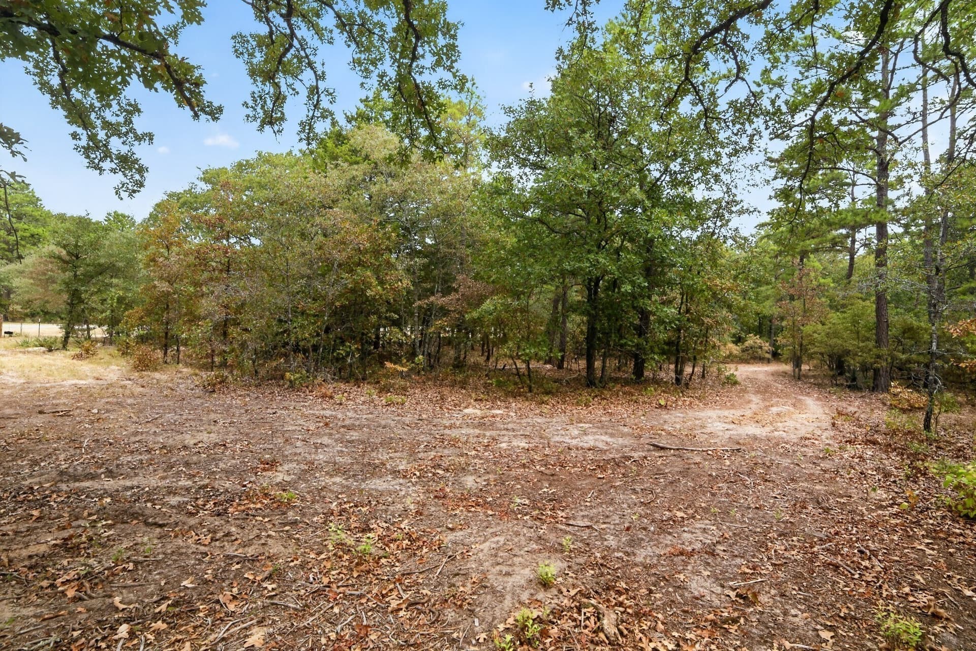 36.84 acres in Wood County - photo 33