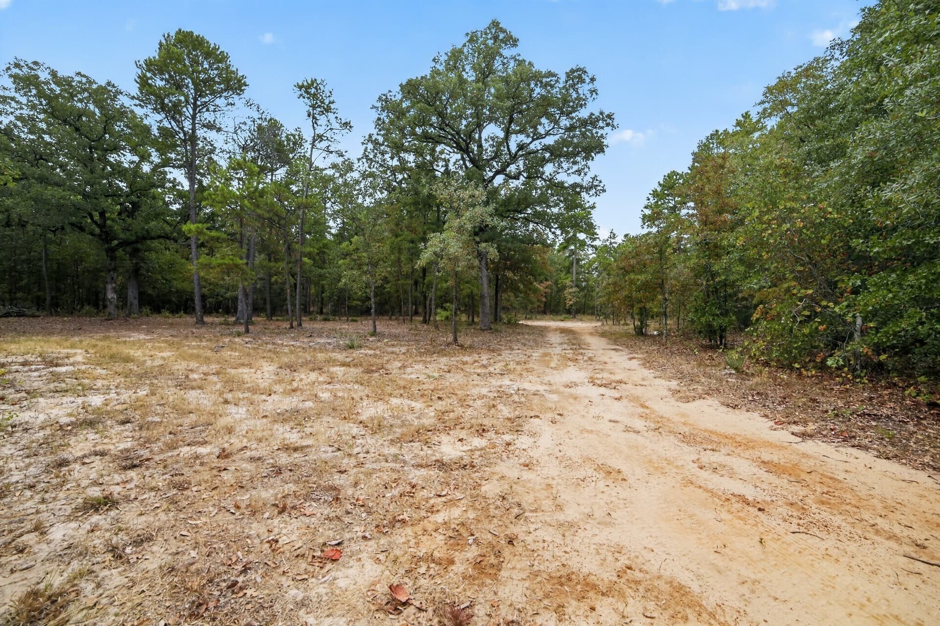36.84 acres in Wood County - photo 32