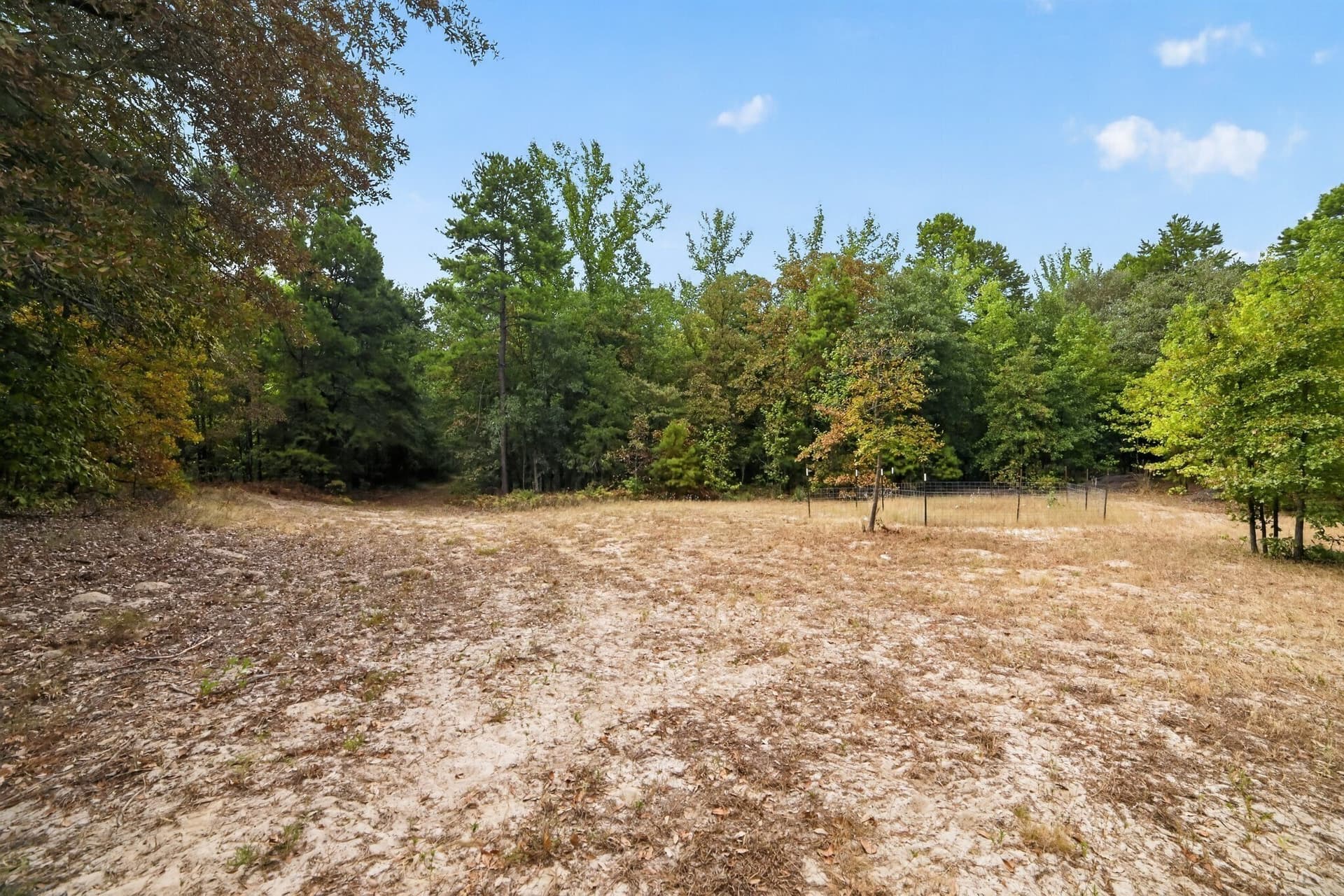36.84 acres in Wood County - photo 35