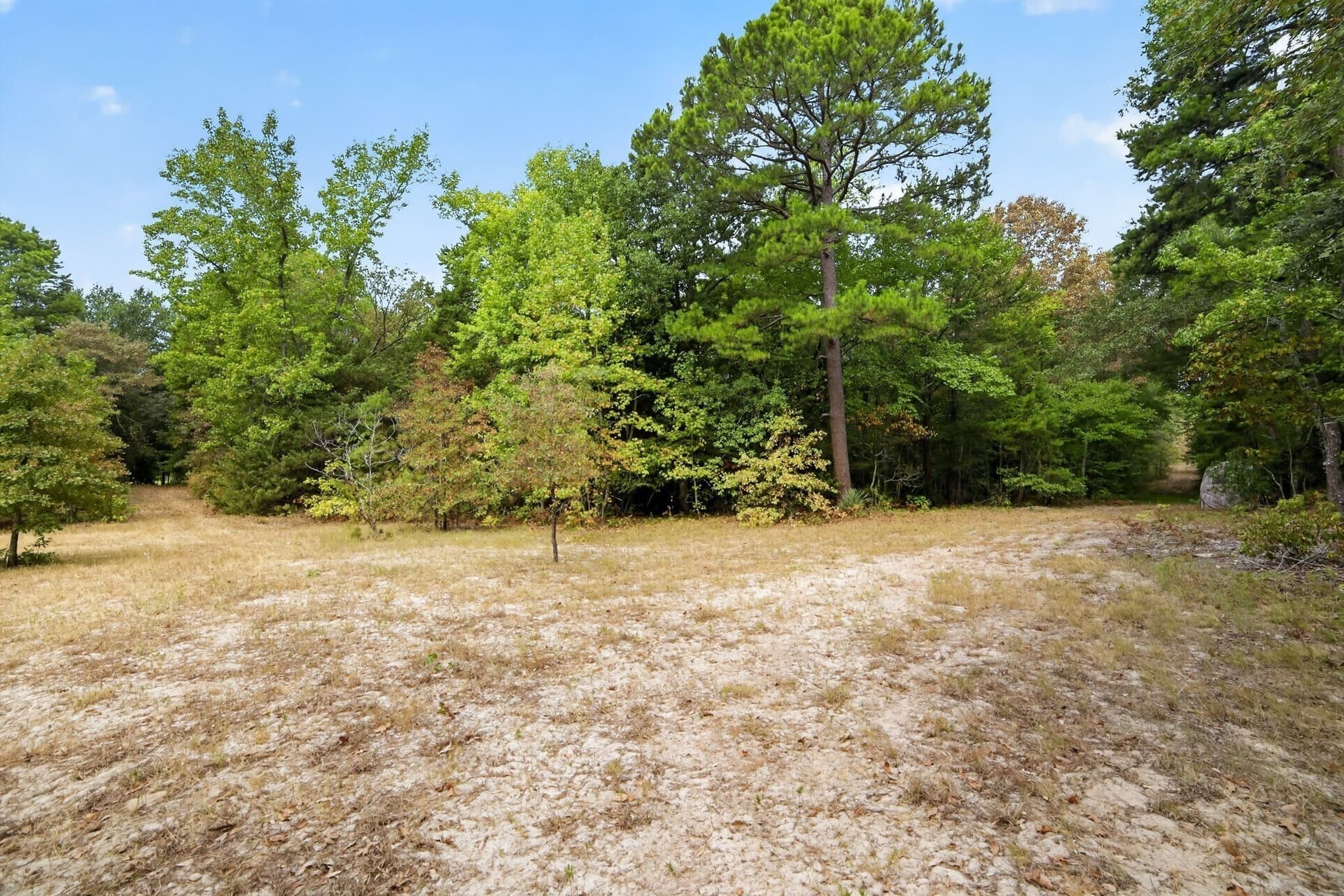 36.84 acres in Wood County - photo 37