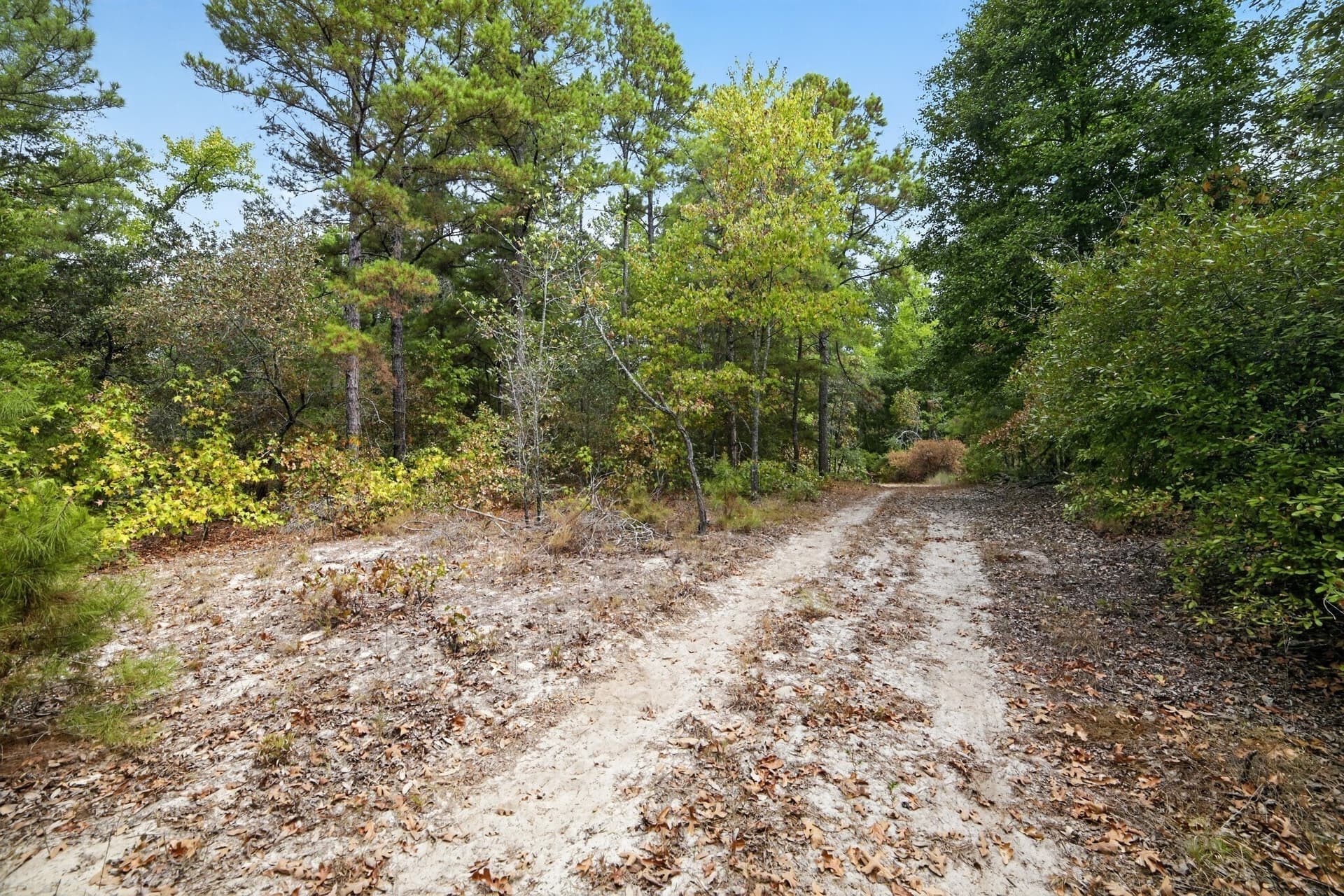 36.84 acres in Wood County - photo 28