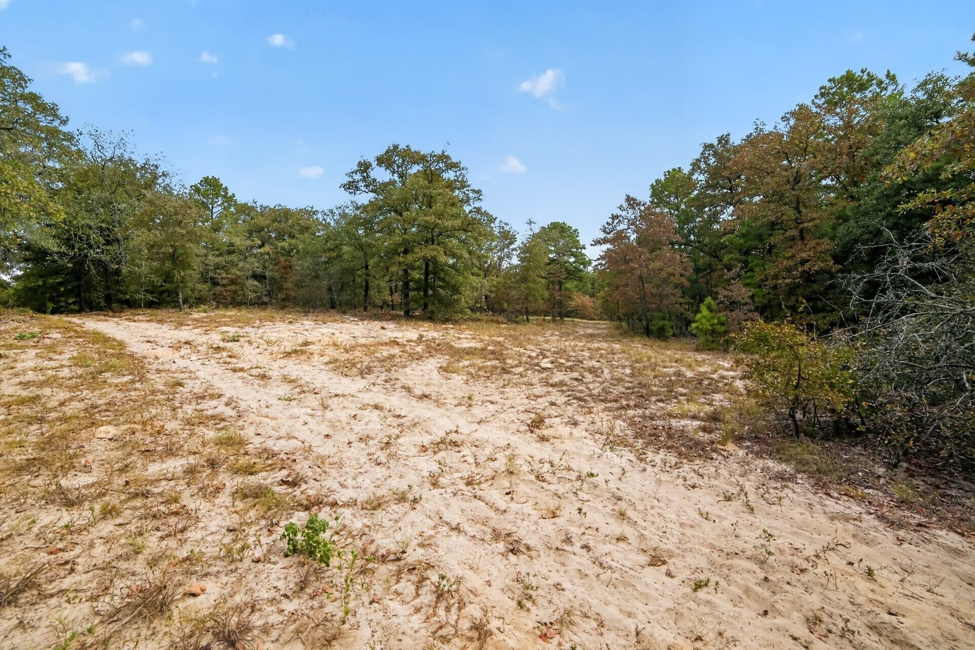 36.84 acres in Wood County - photo 17