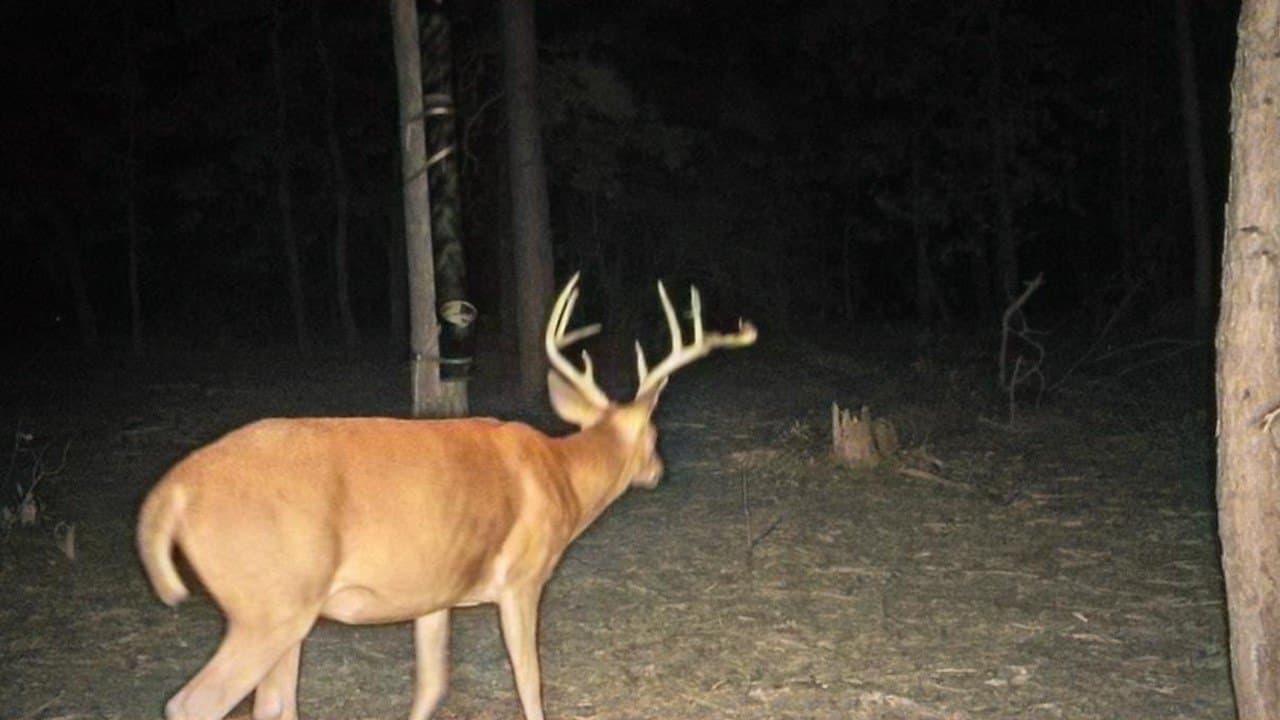 36.84 acres in Wood County - photo 3