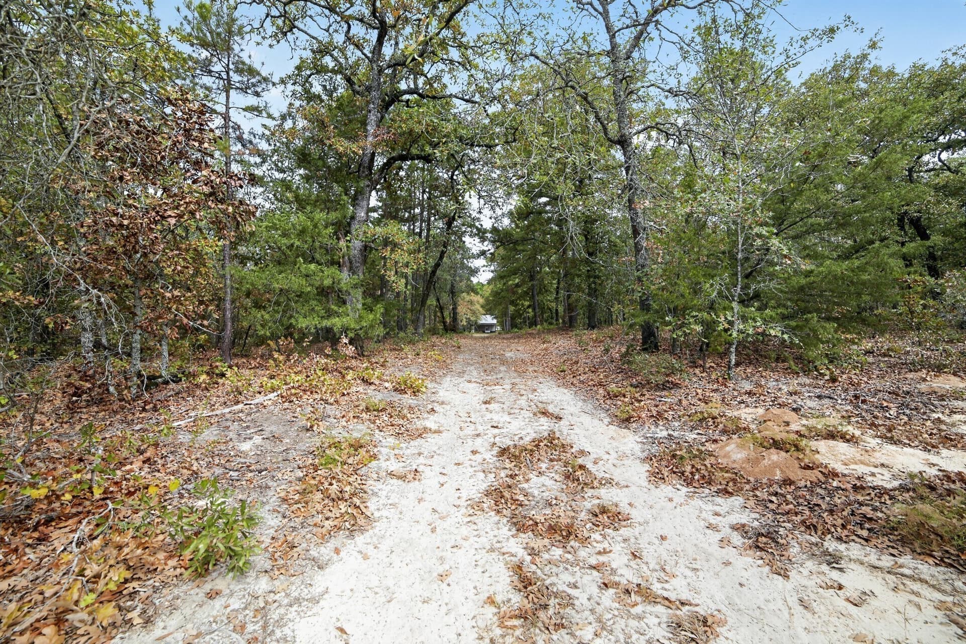 36.84 acres in Wood County - photo 34