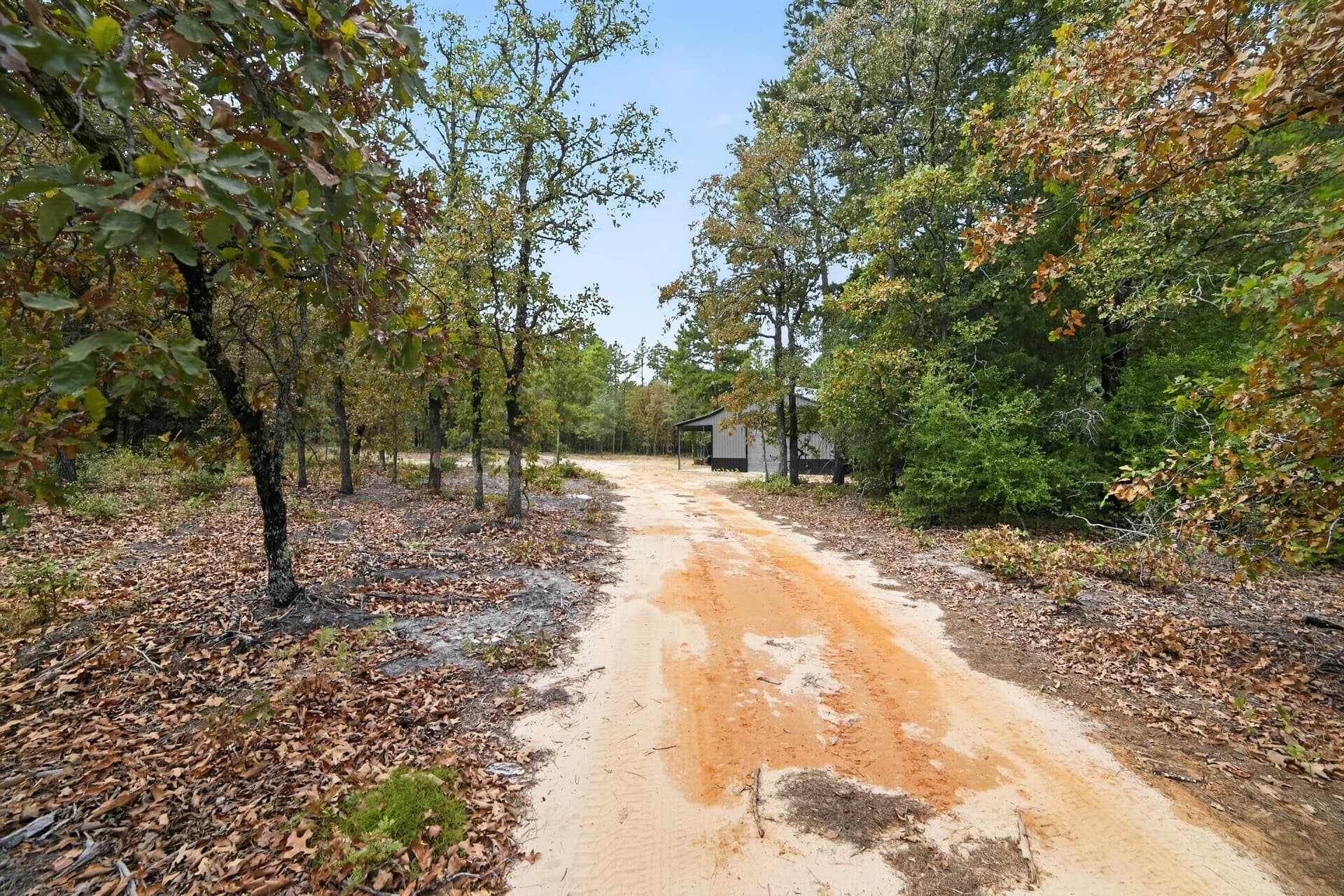 36.84 acres in Wood County - photo 16
