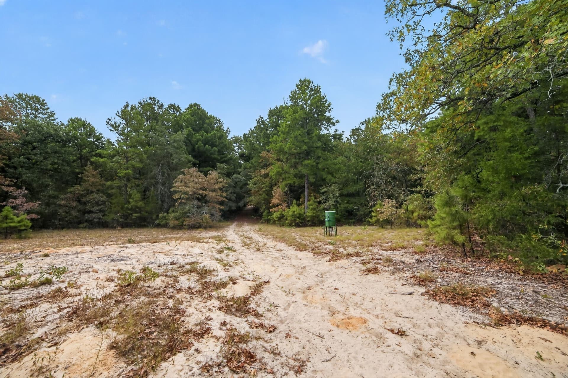 36.84 acres in Wood County - photo 21