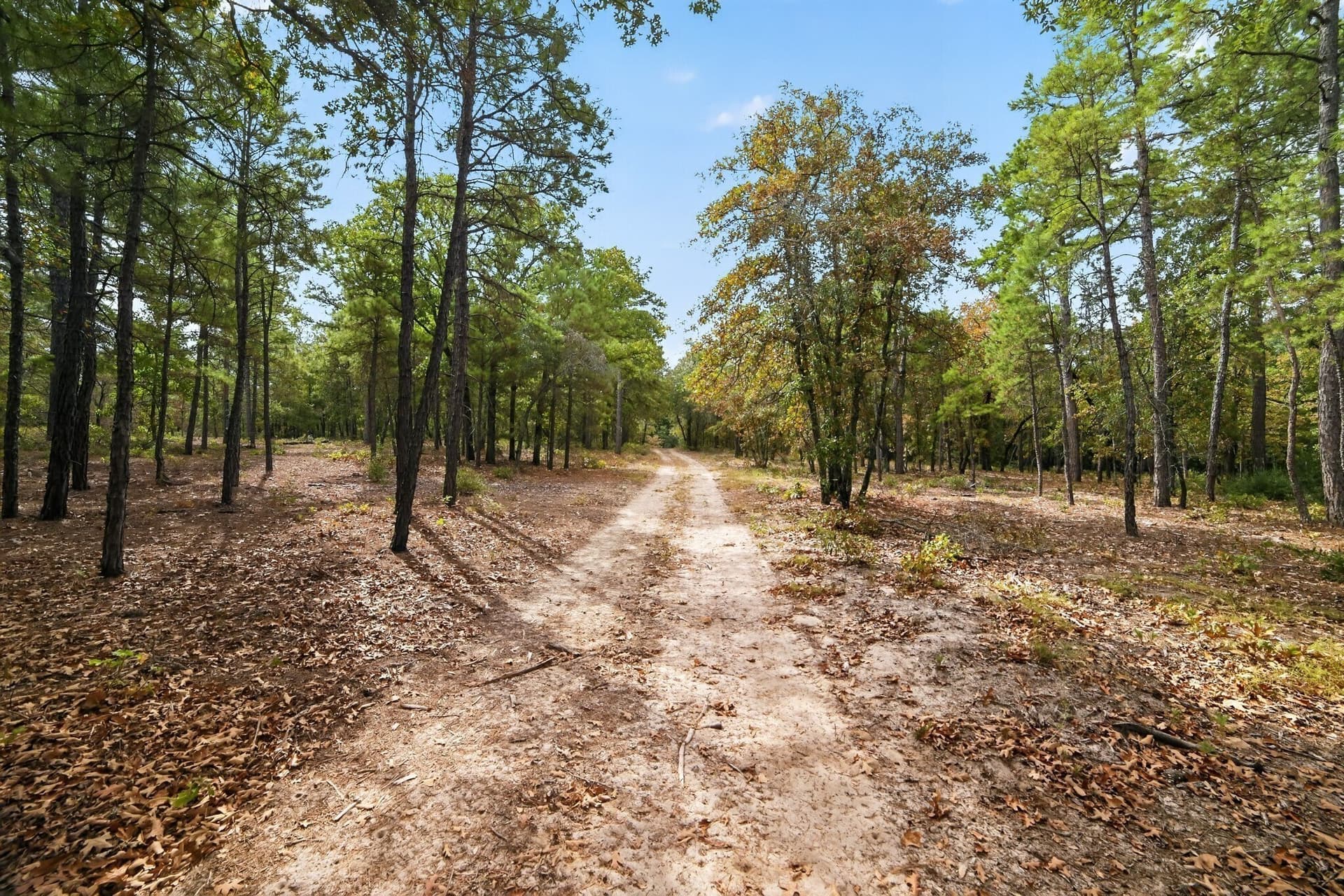 36.84 acres in Wood County - photo 18