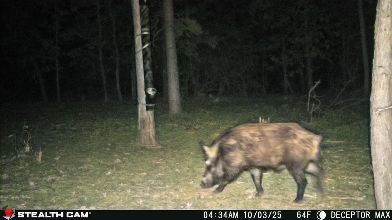36.84 acres in Wood County - photo 5
