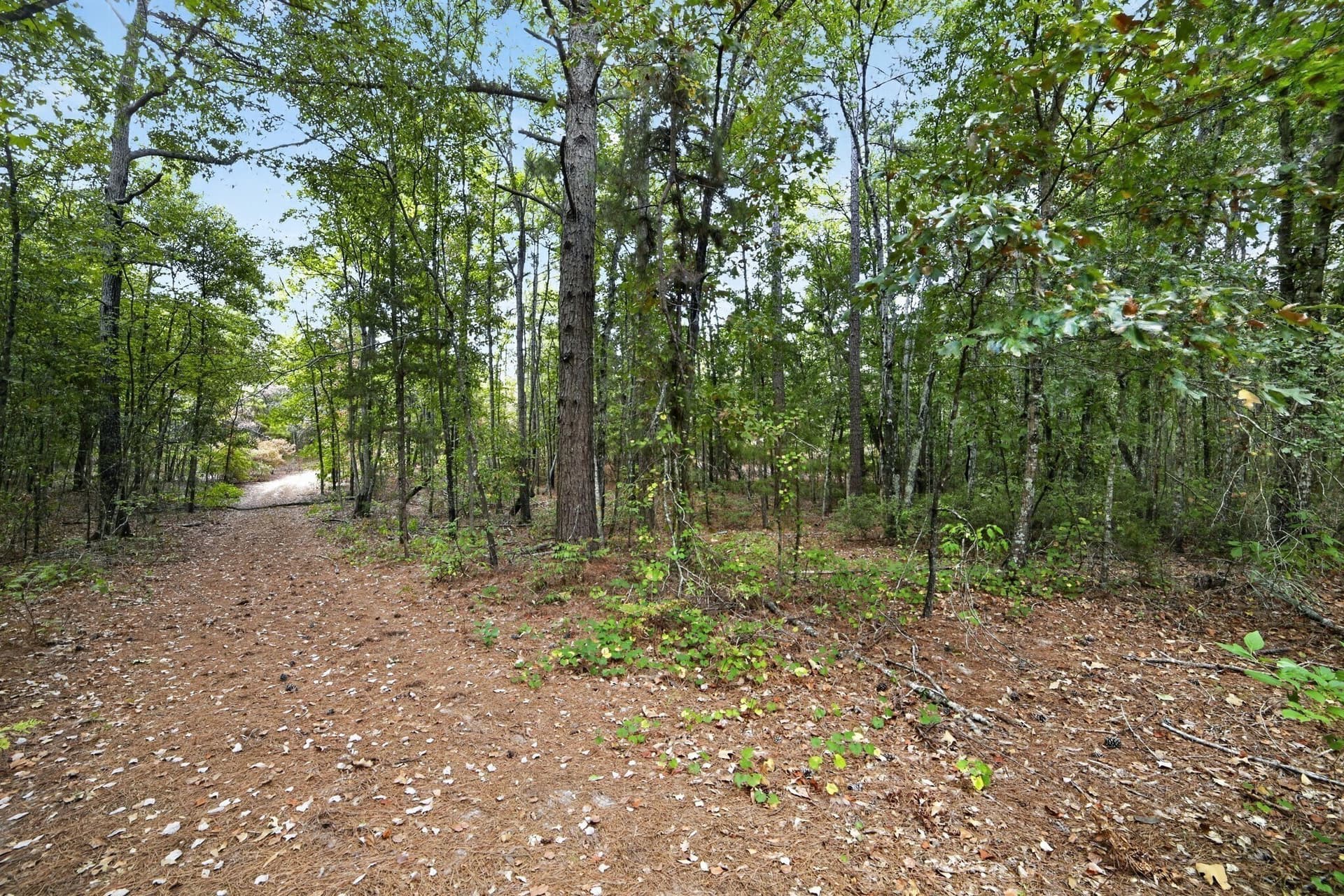 36.84 acres in Wood County - photo 14