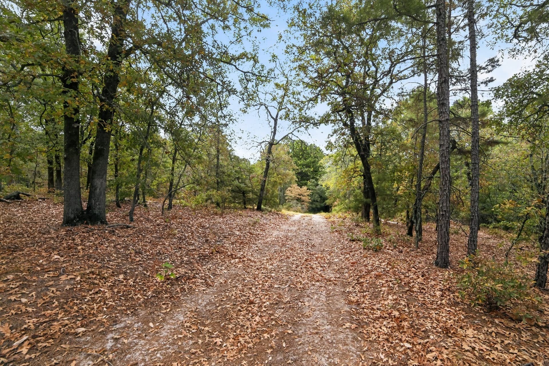 36.84 acres in Wood County - photo 26
