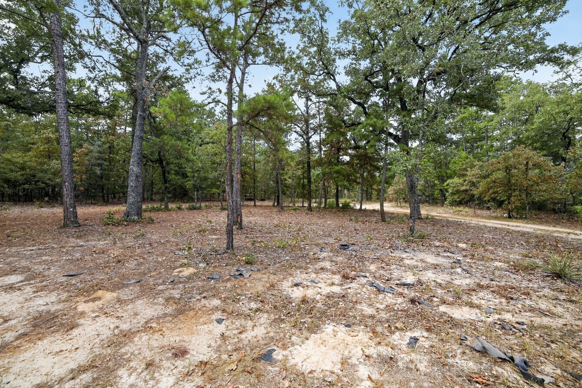 36.84 acres in Wood County - photo 38