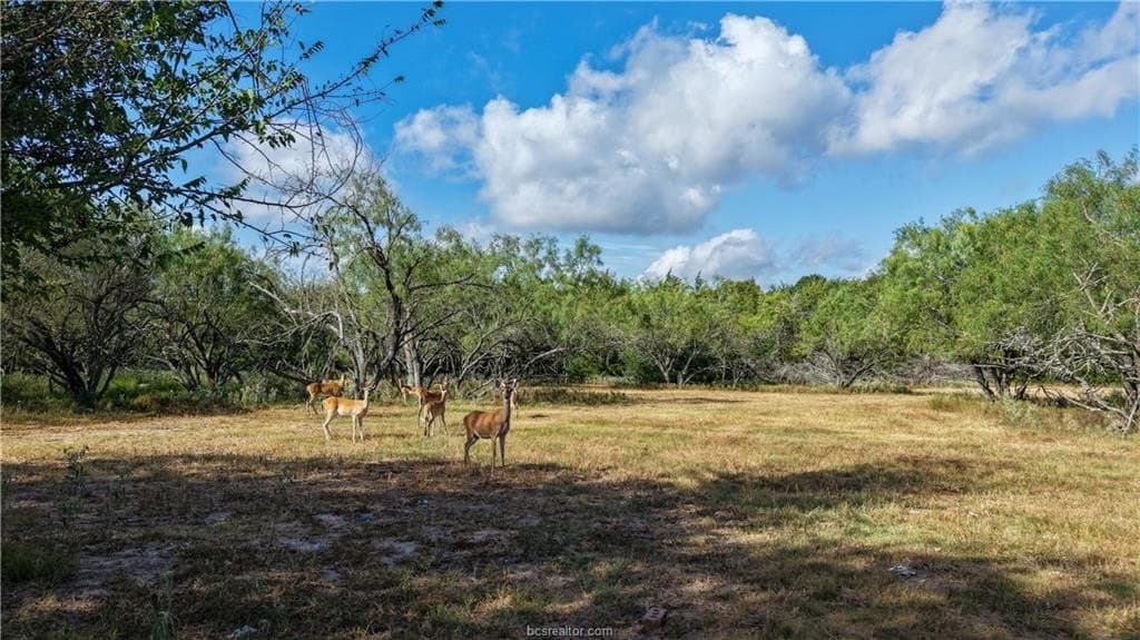 22.14 acres in Brazos County - photo 8
