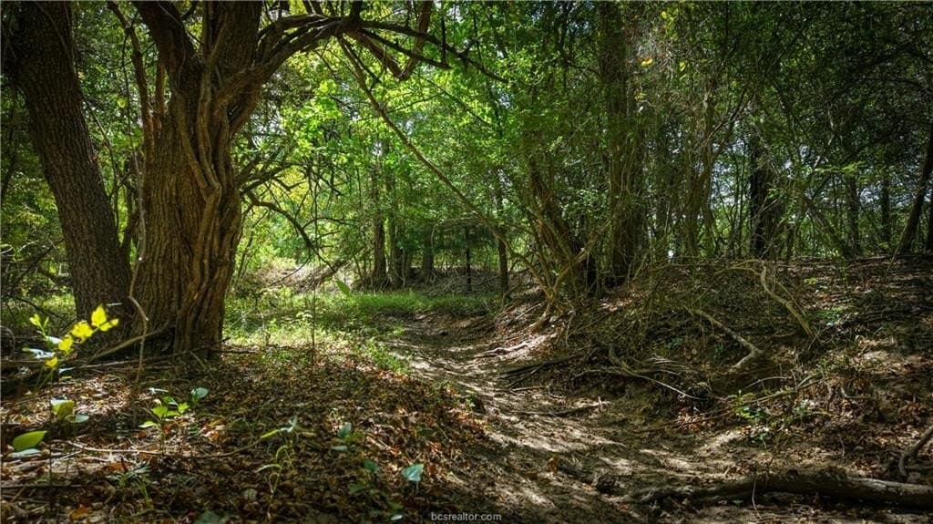 22.14 acres in Brazos County - photo 2