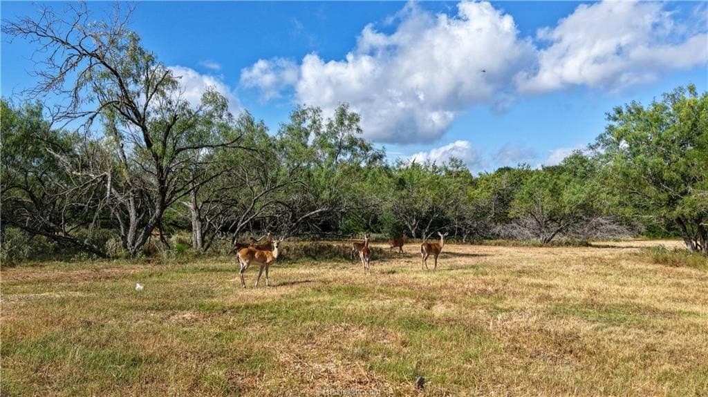 22.14 acres in Brazos County - photo 4