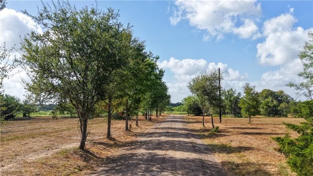 22.14 acres in Brazos County - photo 7