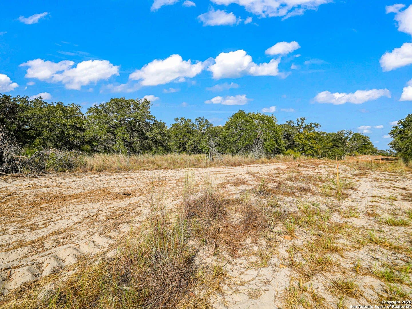 10.03 acres in Guadalupe County - photo 15