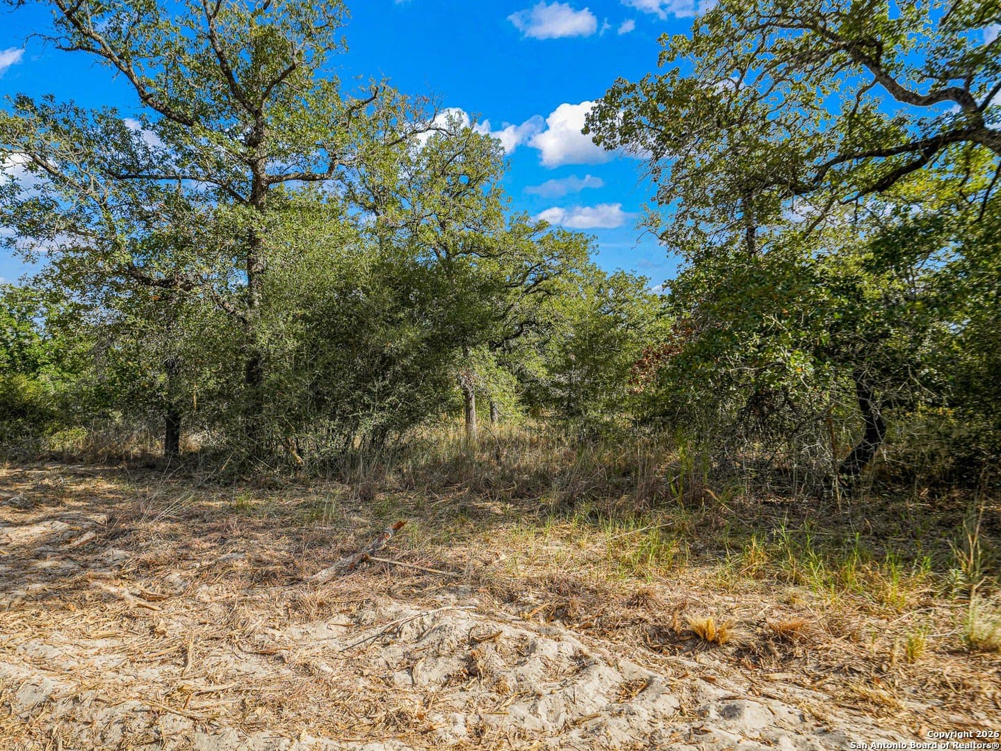 10.03 acres in Guadalupe County - photo 18