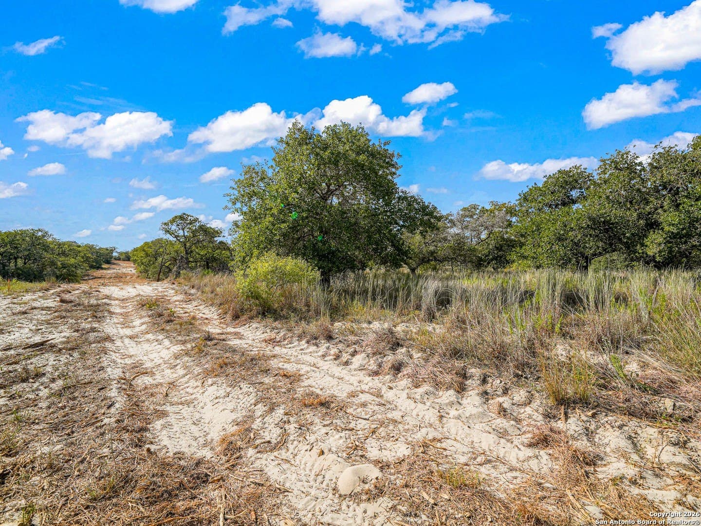 10.03 acres in Guadalupe County - photo 13