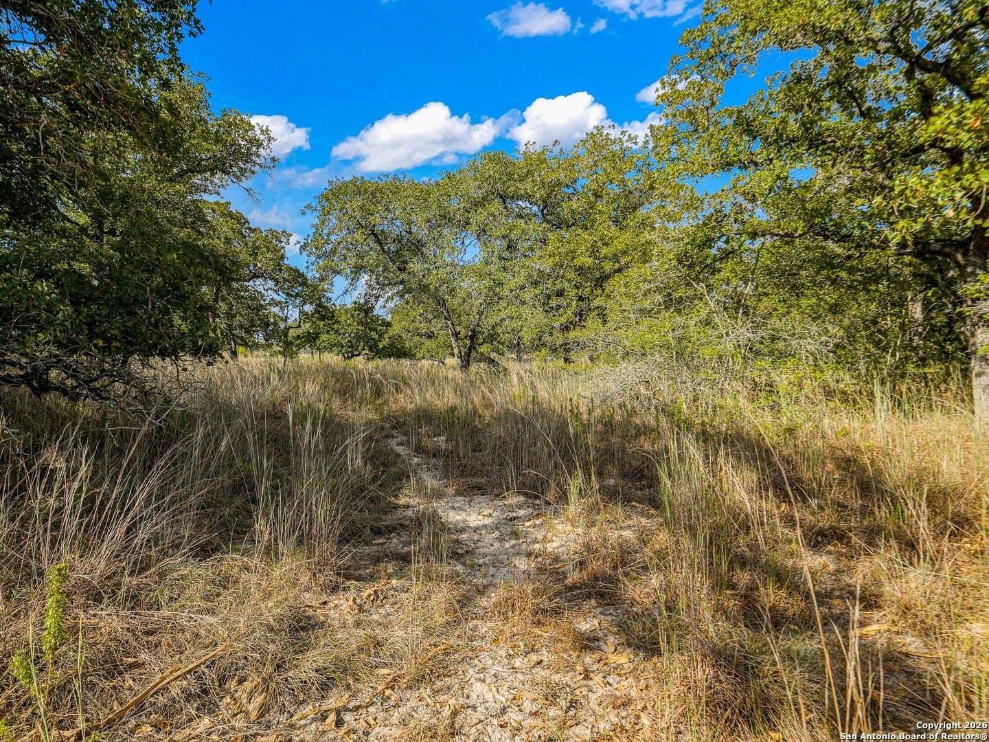 10.03 acres in Guadalupe County - photo 17