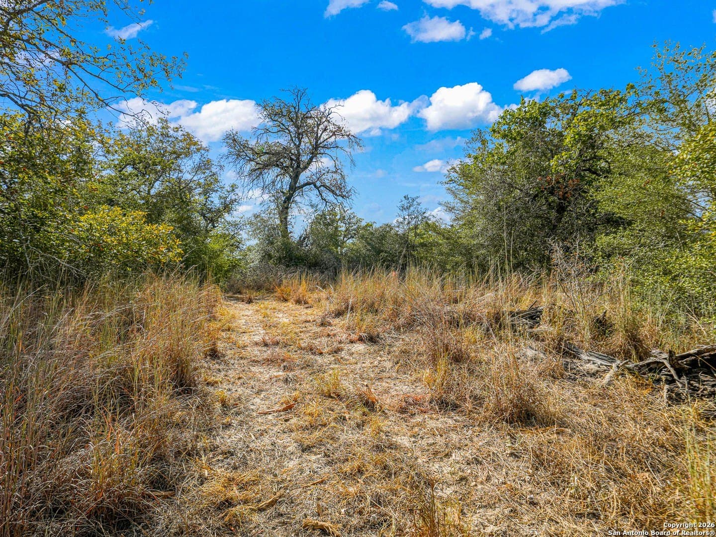10.03 acres in Guadalupe County - photo 19