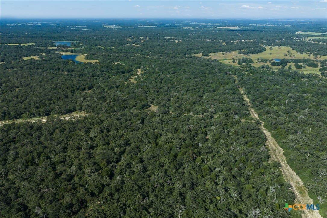 11 acres in Burleson County - photo 16