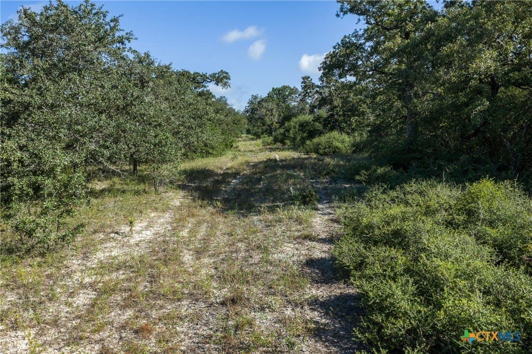 11 acres in Burleson County - photo 8